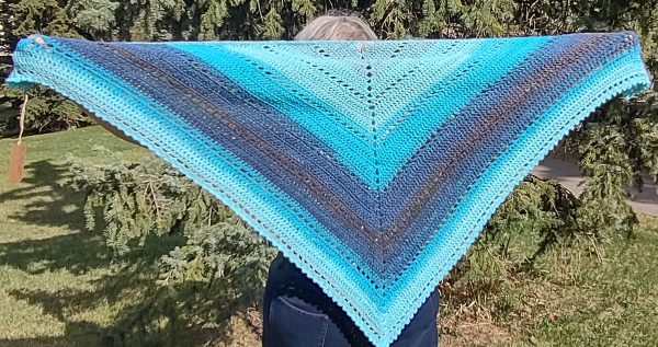 Crochet Triangle Shawl